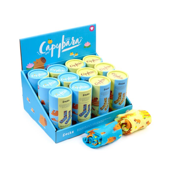 Ponožky v krabičce - Kapybara - Capybara