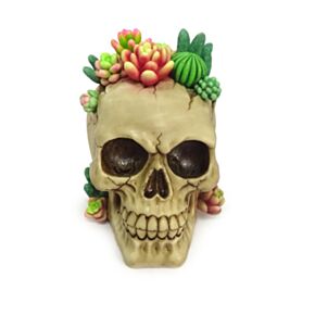 Dekorace - soška - Lebka s dekorací z sukulentních rostlin Dekorace - soška - Lebka s dekorací z sukulentních rostlin